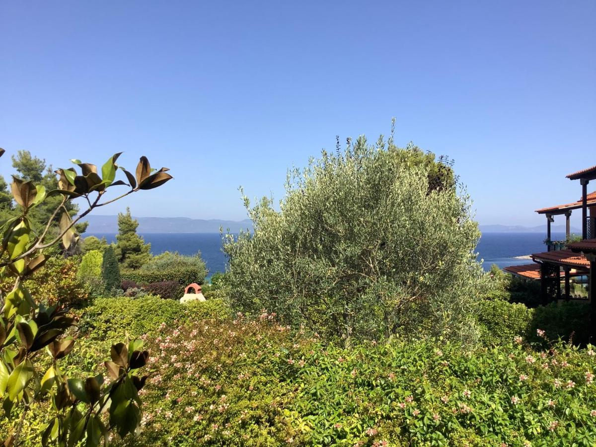 Amazing Villa With Views Sea In Paliouri Bagian luar foto